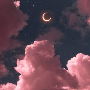 Meet your Posher, Doris